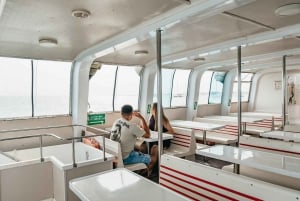 From Corralejo: Round-Trip Ferry Transfer to Lobos Island