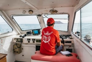 From Corralejo: Round-Trip Ferry Transfer to Lobos Island