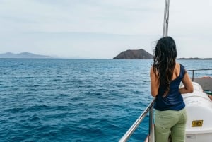 From Corralejo: Round-Trip Ferry Transfer to Lobos Island