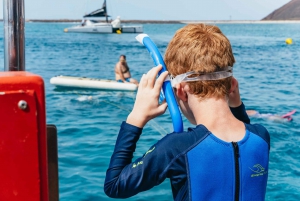 From Corralejo: Round-Trip Ferry Transfer to Lobos Island