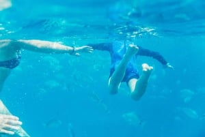 From Corralejo: Round-Trip Ferry Transfer to Lobos Island