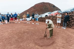 From Fuerteventura: Lanzarote Trip with Wine Tasting & Lunch