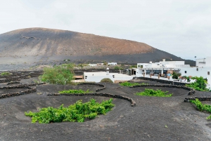 From Fuerteventura: Lanzarote Trip with Wine Tasting & Lunch