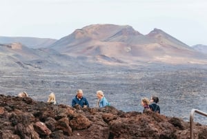 From Fuerteventura: Lanzarote Trip with Wine Tasting & Lunch