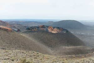 From Fuerteventura: Lanzarote Trip with Wine Tasting & Lunch