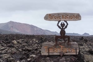 Lanzarote Volcano and Wine Region Tour