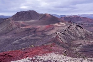 From Fuerteventura: Lanzarote Volcano and Wine Region Tour