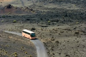 From Fuerteventura: Lanzarote Volcano and Wine Region Tour