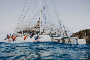 Fra Fuerteventura: Minicruise fra Playa Blanca til Papagayo