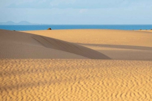 From Lanzarote: Corralejo Buggy Safari