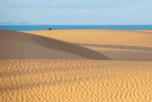 Fra Lanzarote: Corralejo Buggy Safari