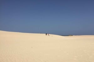 From Lanzarote: Fuerteventura Day Trip