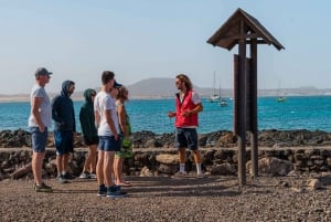 From Lanzarote: Lobos Island and Fuerteventura Day Cruise