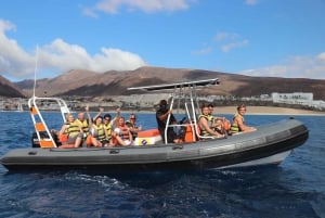 From Morro Jable: Dolphin and Whale Watching by Speedboat