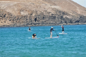 フェルテベントゥラ島：1.5時間のSUPコース - カレタ・デ・フステ