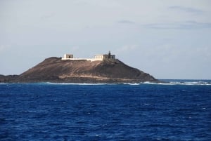 Fuerteventura: 1-Hour Mini Swim & Snorkel Cruise