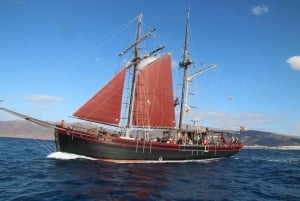 Fuerteventura: 4-Hour Pirate Sailing Adventure