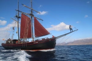 Fuerteventura: 4-Hour Pirate Sailing Adventure