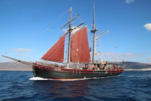 Fuerteventura: 4-Hour Pirate Sailing Adventure