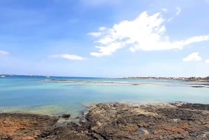 Fuerteventura ‘s 3 Trips in 1 tour. Sightseeing Full island!