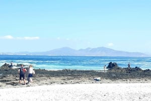 Fuerteventura ‘s 3 Trips in 1 tour. Sightseeing Full island!