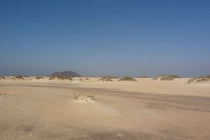 Fuerteventura ‘s 3 Trips in 1 tour. Sightseeing Full island!