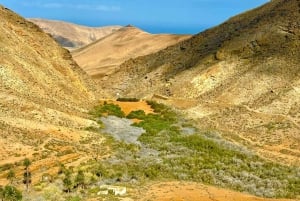 Fuerteventura ‘s 3 Trips in 1 tour. Sightseeing Full island!