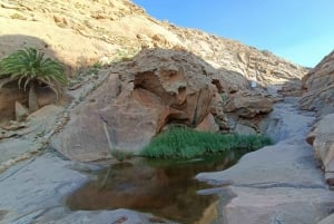 Fuerteventura: Ajuy Caves & hike to secret Las Penitas Arco