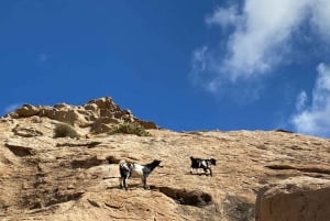 Fuerteventura: Ajuy Caves & hike to secret Las Penitas Arco