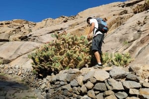 Fuerteventura: Ajuy Caves & hike to secret Las Penitas Arco