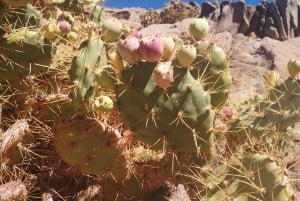 Fuerteventura: Ajuy Caves & hike to secret Las Penitas Arco