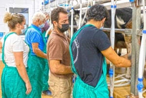 Fuerteventura: Artisan Goat's Cheese Making at Local Farm