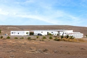 Fuerteventura: Artisan Goat's Cheese Making at Local Farm