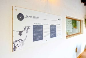 Fuerteventura: Artisan Goat's Cheese Making at Local Farm