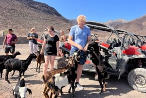 Fuerteventura : Buggy tour in the south of the island