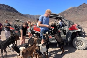 Fuerteventura : Buggy tour in the south of the island