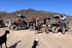 Fuerteventura : Buggy tour in the south of the island