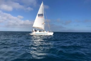 Fuerteventura : Catamaran excursion to Lobos Island