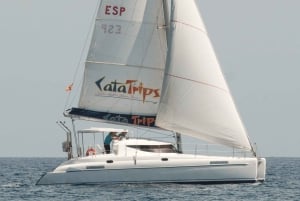 Fuerteventura: Catamarán navegación a vela y delfines.