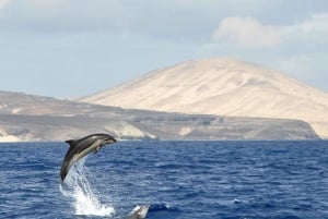 Fuerteventura: Catamarán navegación vela. Máximo 10 personas