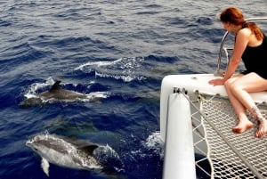 Fuerteventura: Catamarán navegación vela. Máximo 10 personas