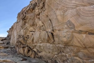 Fuerteventura: RUTA DE SENDERISMO POR EL COFETE: recogida en el SUR