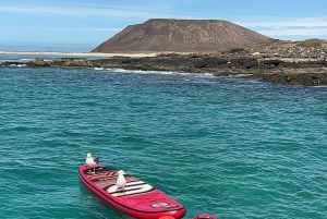 Fuerteventura: Dolphin watching and Lobo Island Combo Cruise