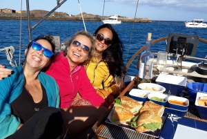 FUERTEVENTURA: PRIVAT SEJLTUR MED SEJLBOARD OMKRING ISLA DE LOBOS