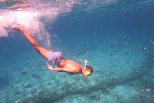 FUERTEVENTURA: PRIVAT SEJLTUR MED SEJLBOARD OMKRING ISLA DE LOBOS