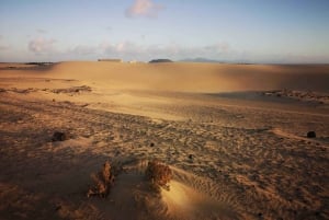 Fuerteventura: Corralejo Sand Dunes Guided Shore Excursion