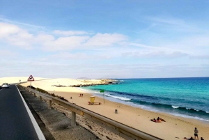 Fuerteventura: Corralejo Sand Dunes Guided Shore Excursion