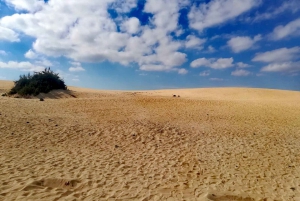 Fuerteventura: Corralejo Sand Dunes Guided Shore Excursion