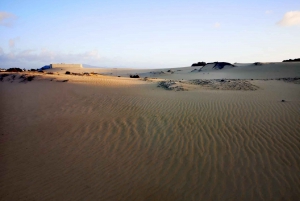 Fuerteventura: Corralejo Sand Dunes Guided Shore Excursion