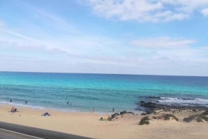 Fuerteventura: Corralejo Sand Dunes Guided Shore Excursion